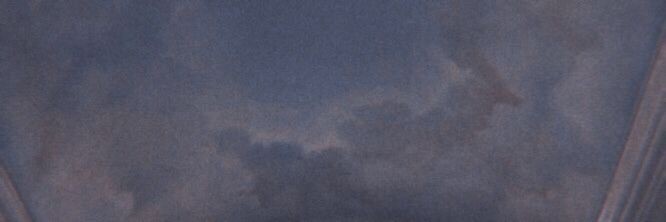 violet🌺's banner