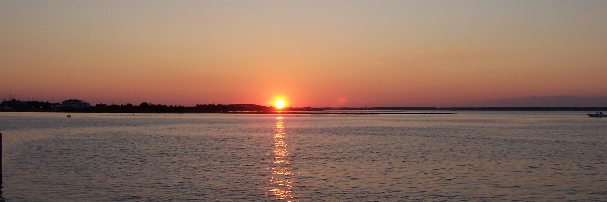 Joseph T Salerno banner