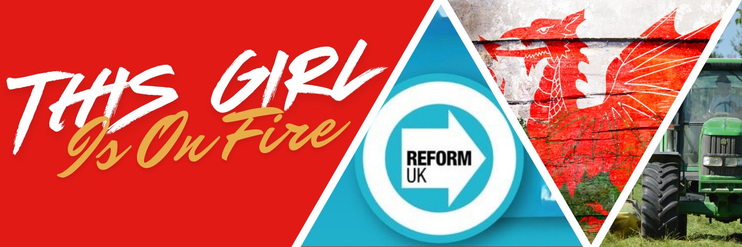 @thisgirlisonfire's banner