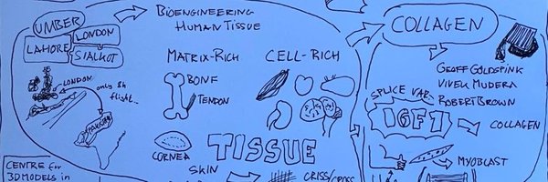 UmberCheema Profile Banner