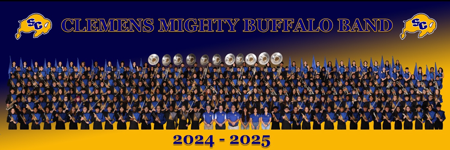 MightyBuffaloBand banner