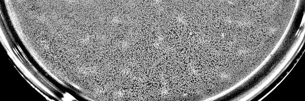 ParisSeminar Profile Banner