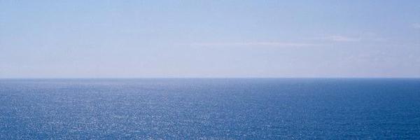 percepticon Profile Banner