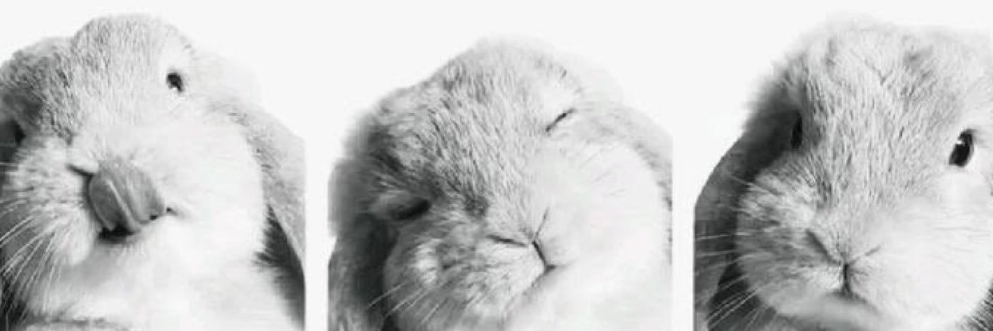 sunbieber's profile banner image