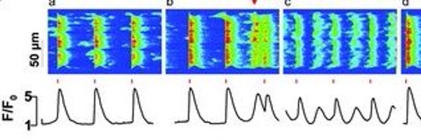 AnaMGmez4 Profile Banner