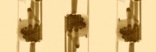 schoolhousegall's profile banner image