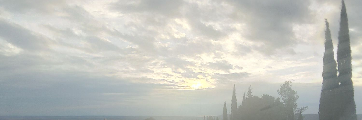 Vinek banner