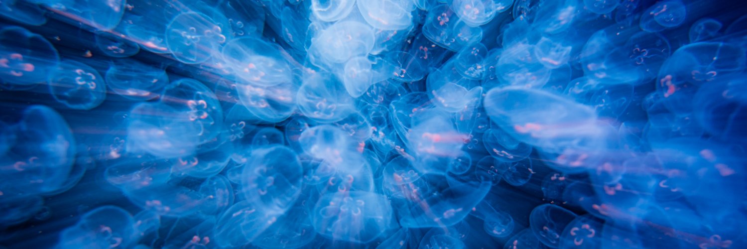 つたっきー banner