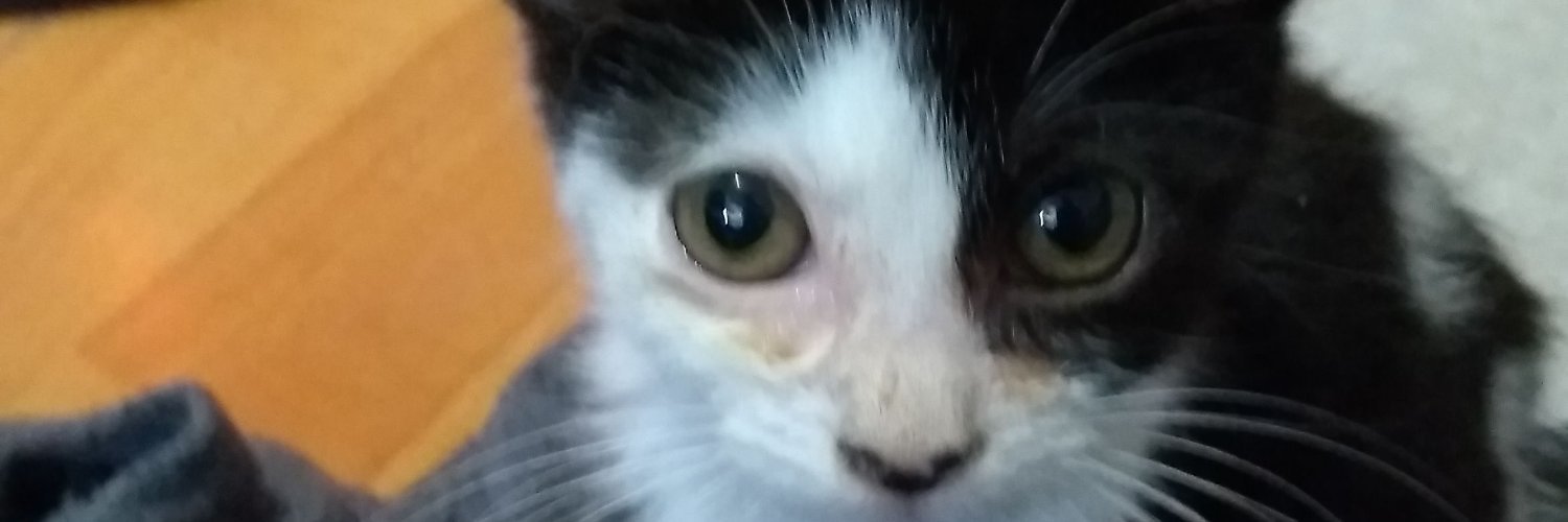 Cintia5_10's profile banner image
