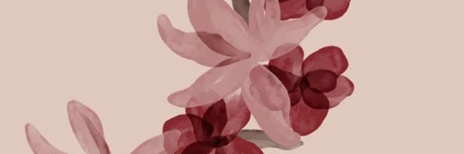 ay banner