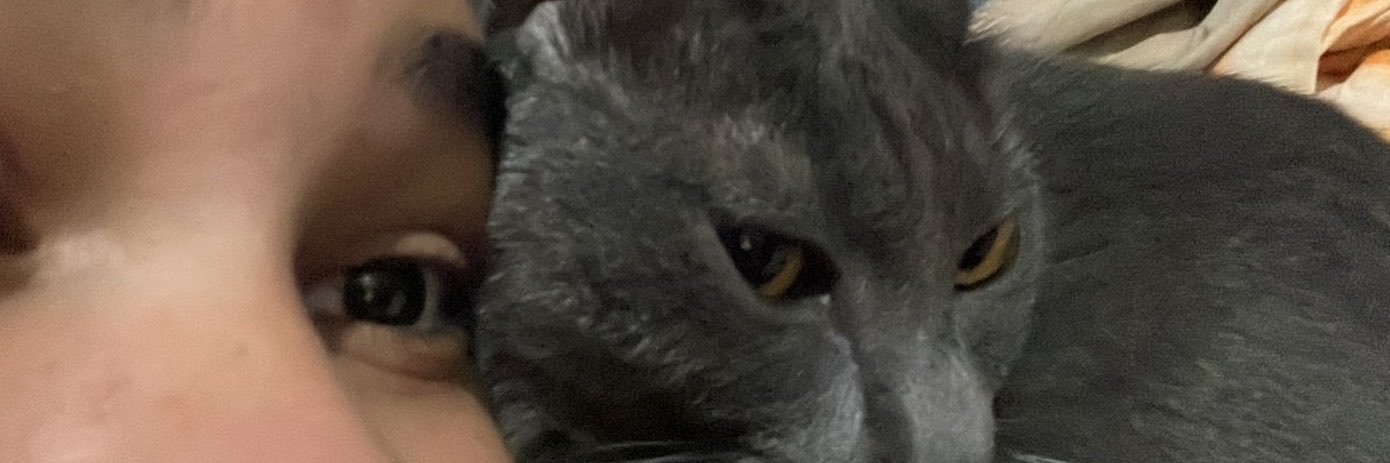lettnsc's profile banner image