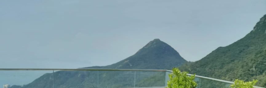naomicitra's profile banner image