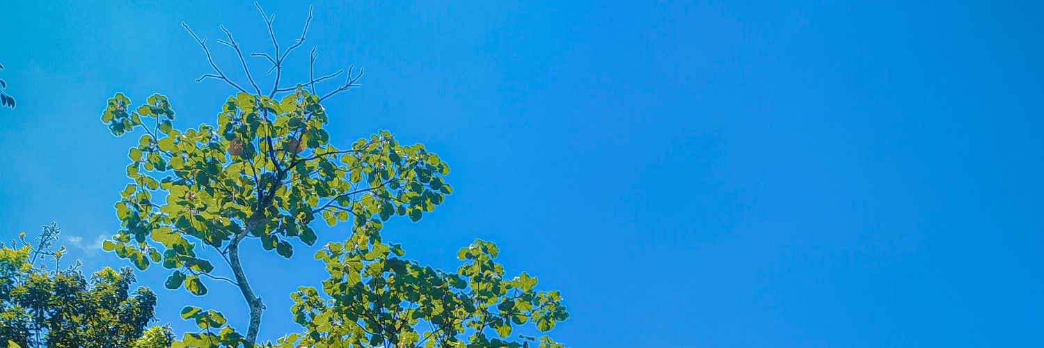 udadekat's profile banner image