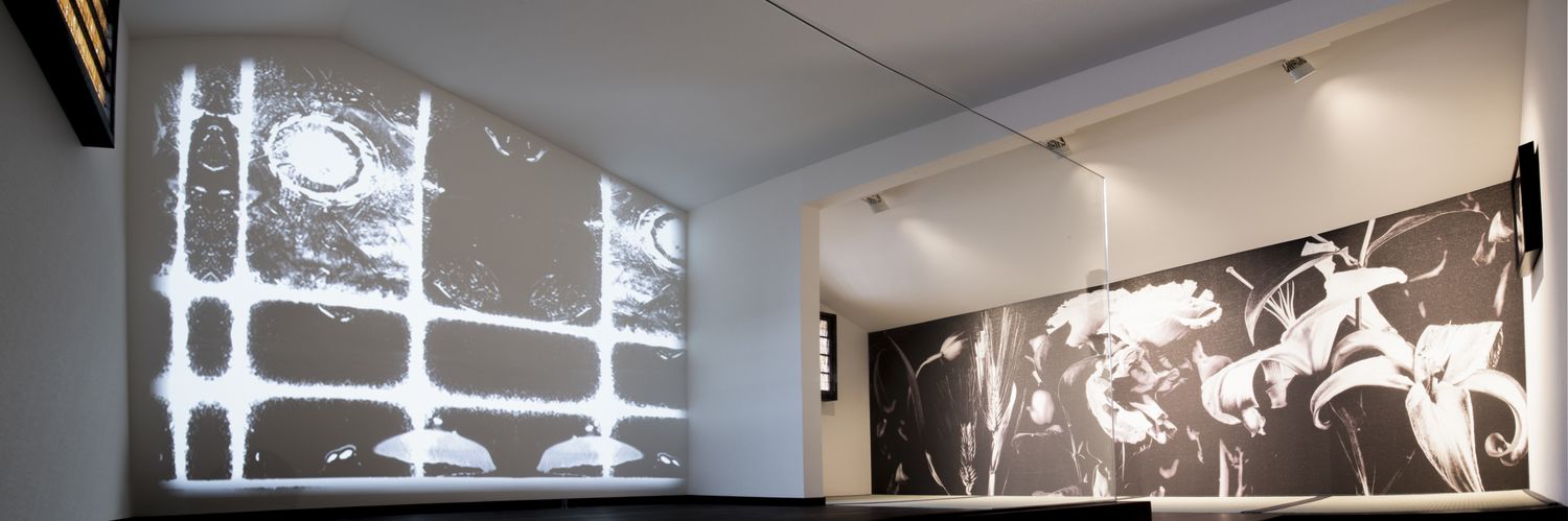 Tadashi Kaneyama banner