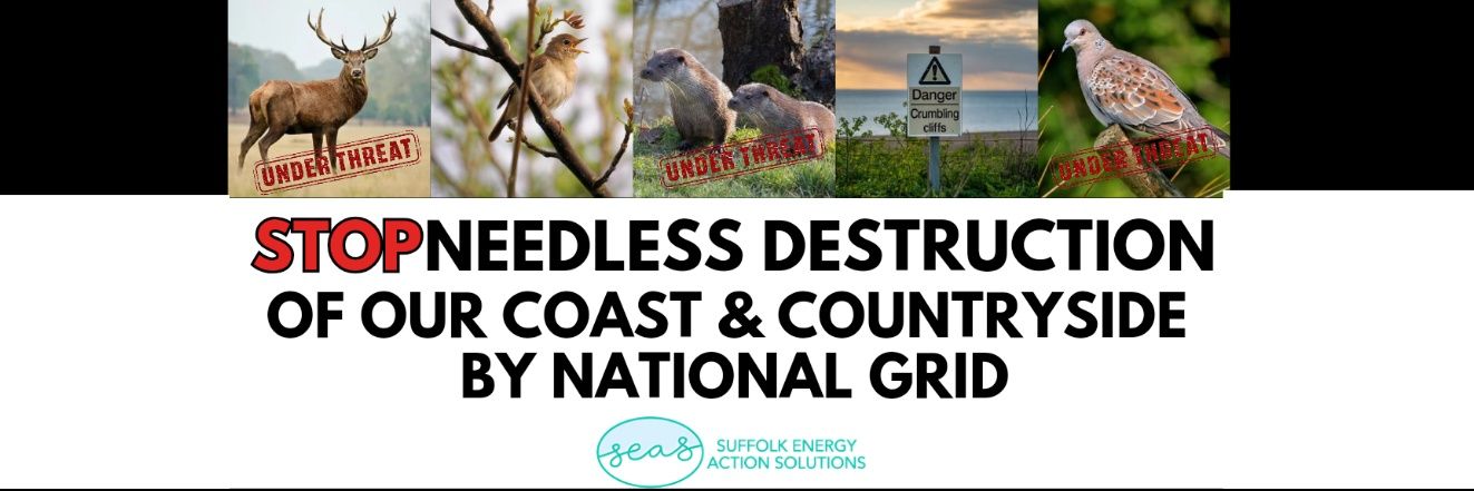 SuffolkEnergyActionSolutions🦇🦎🦇🦎🍃💚🍃 banner