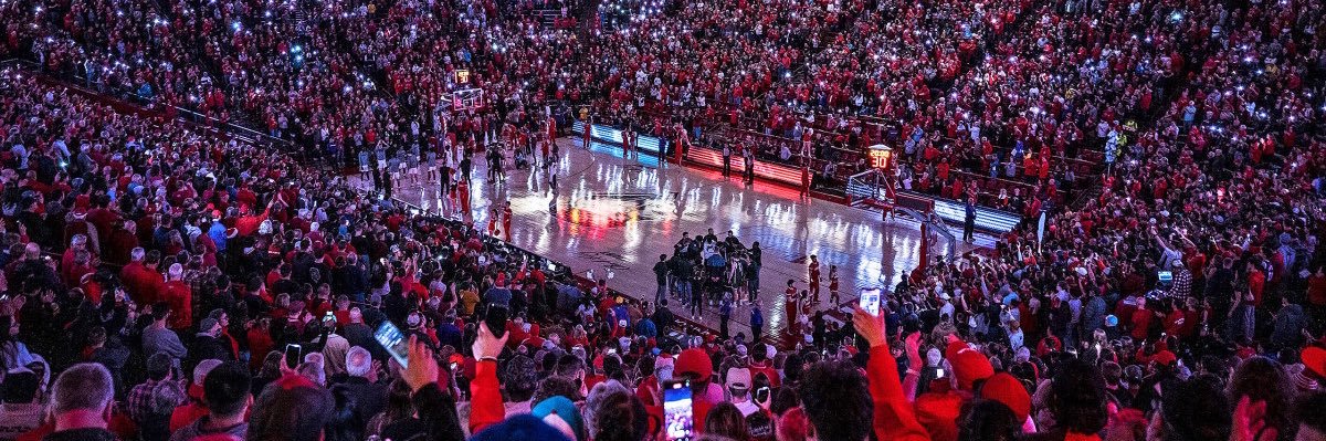 Tom Tankelewicz banner