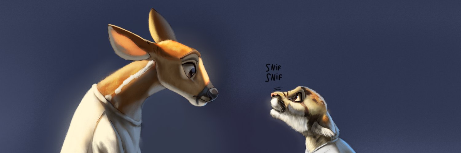 LamaDidi2's profile banner image
