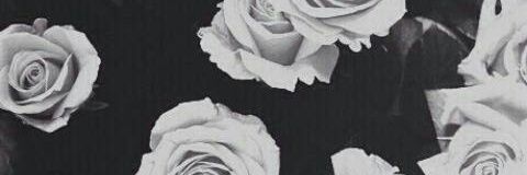 NeereeJ's profile banner image