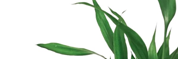 AmirAlhaj_ph Profile Banner