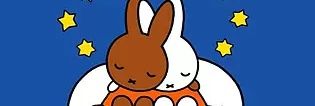 AntianYuki's profile banner image