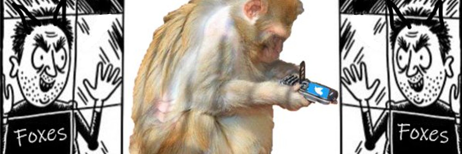 Trinares banner