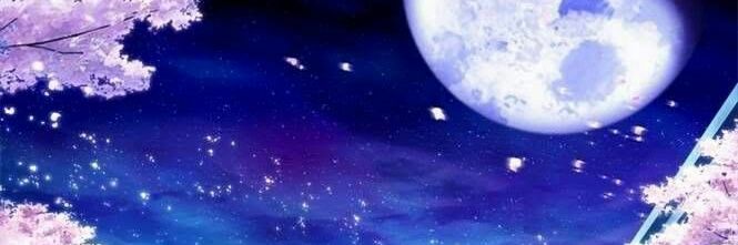 Shadow_Mario98's profile banner image