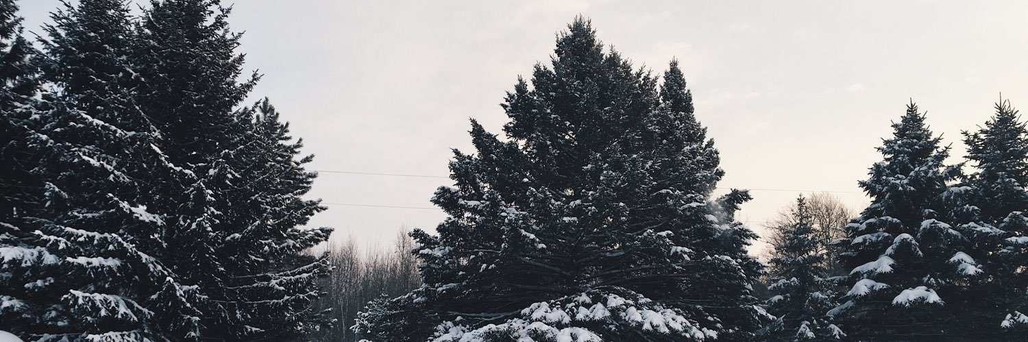 truealperin's profile banner image