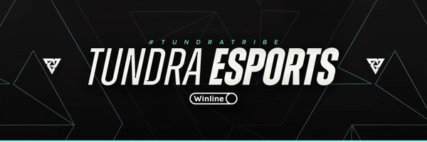 TUNDRA Profile Banner