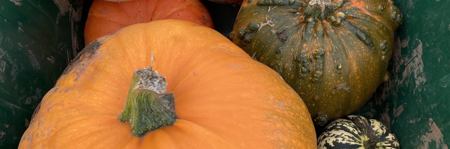 GrowLaughLearn banner