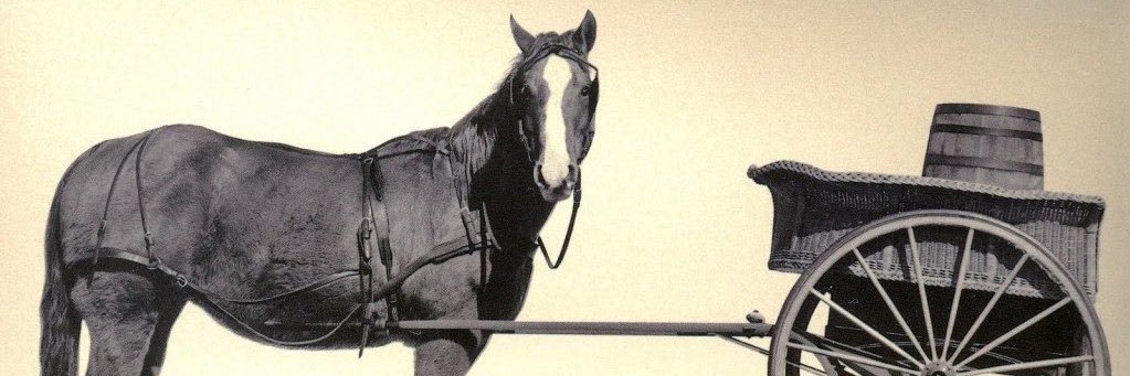 Dharmiey_'s profile banner image