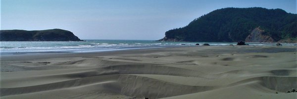 GSA_MCG Profile Banner