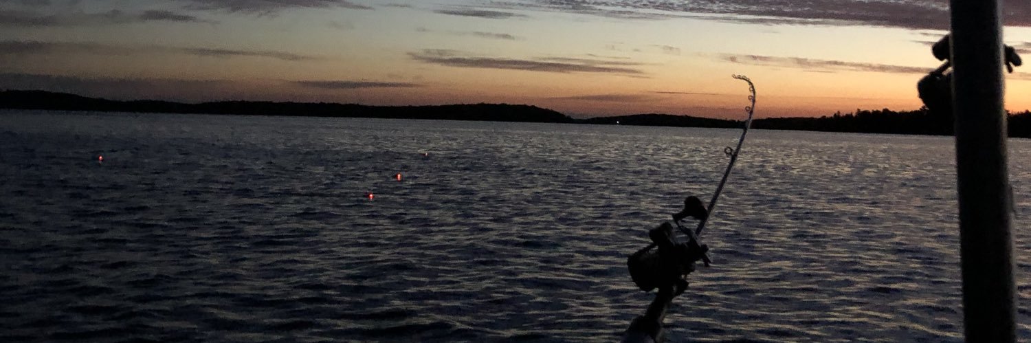 DavidZitterkopf's profile banner image