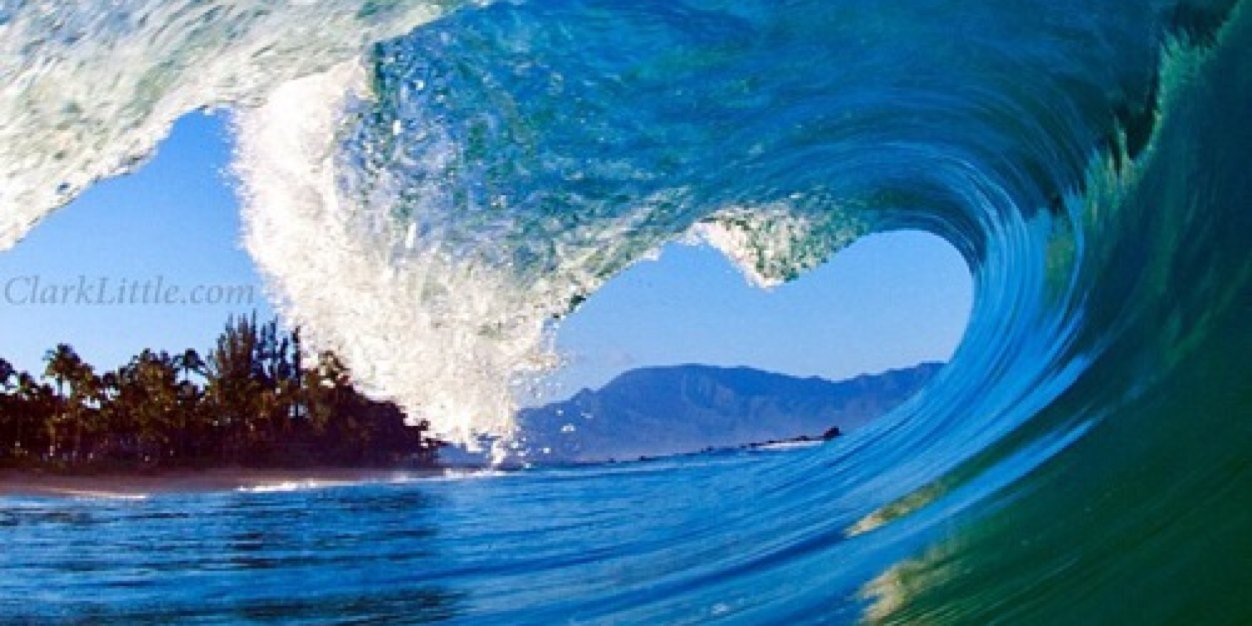 이현승 HYEON-SEUNG LEE banner