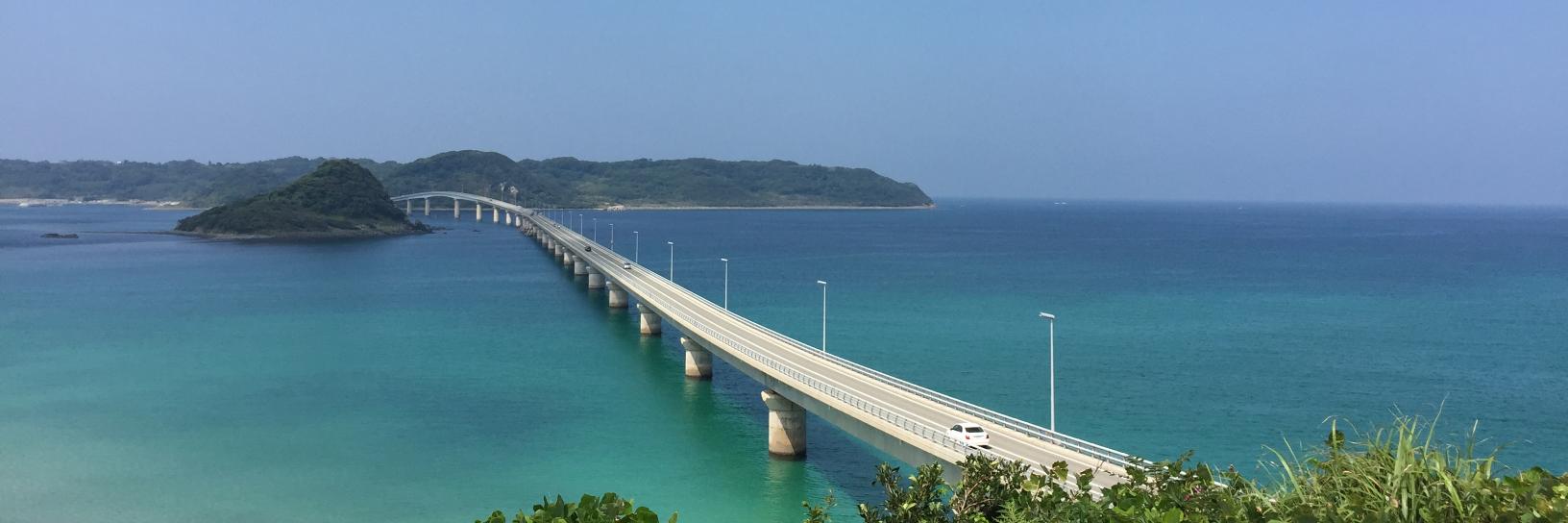 すがわに＠IRONMAN banner