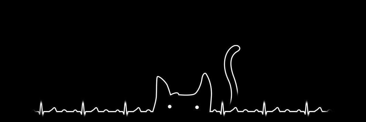 brazyrob's profile banner image