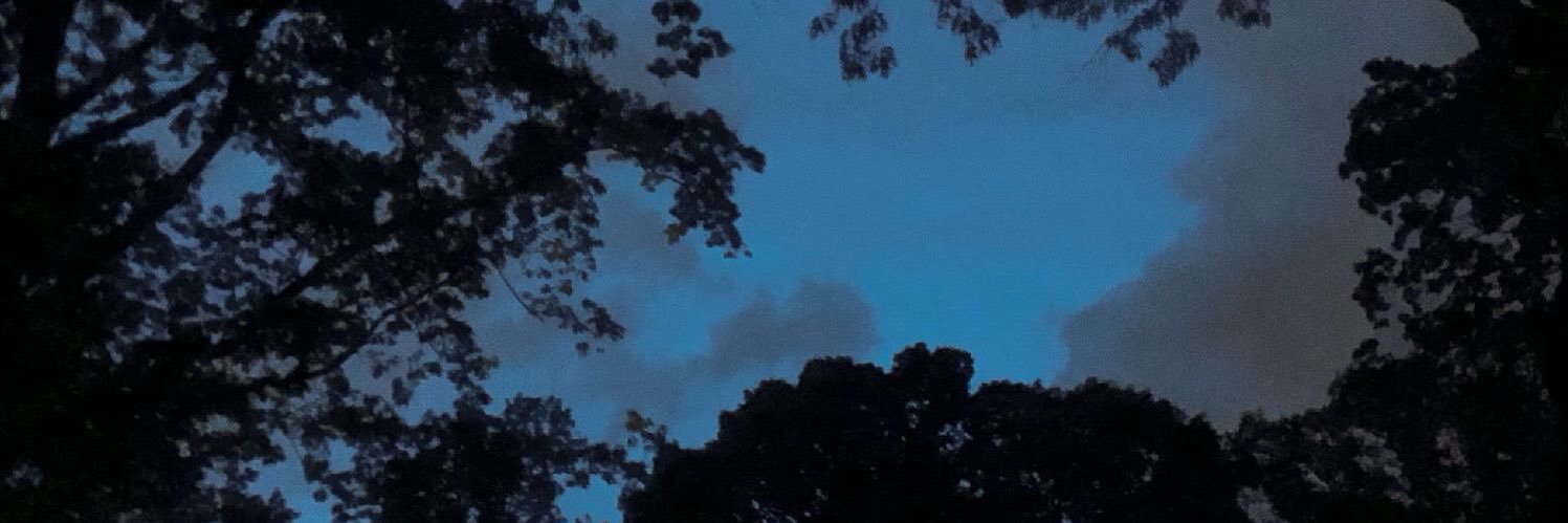 maybekellen's profile banner image