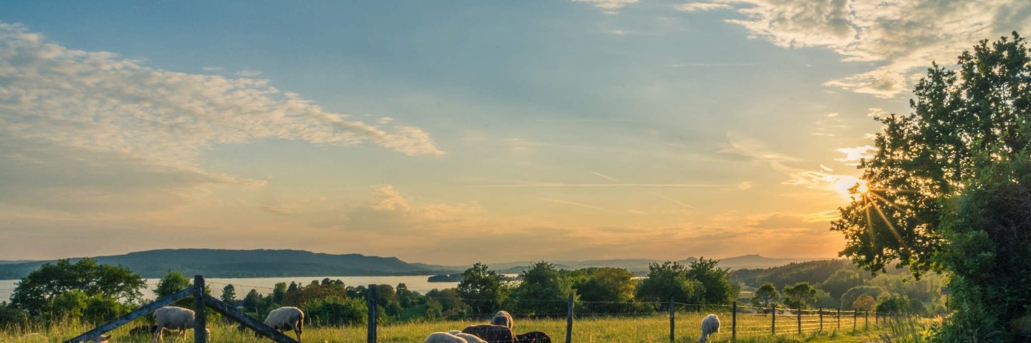 Farittmasmud's profile banner image
