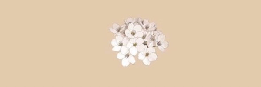 _nana_ii's profile banner image