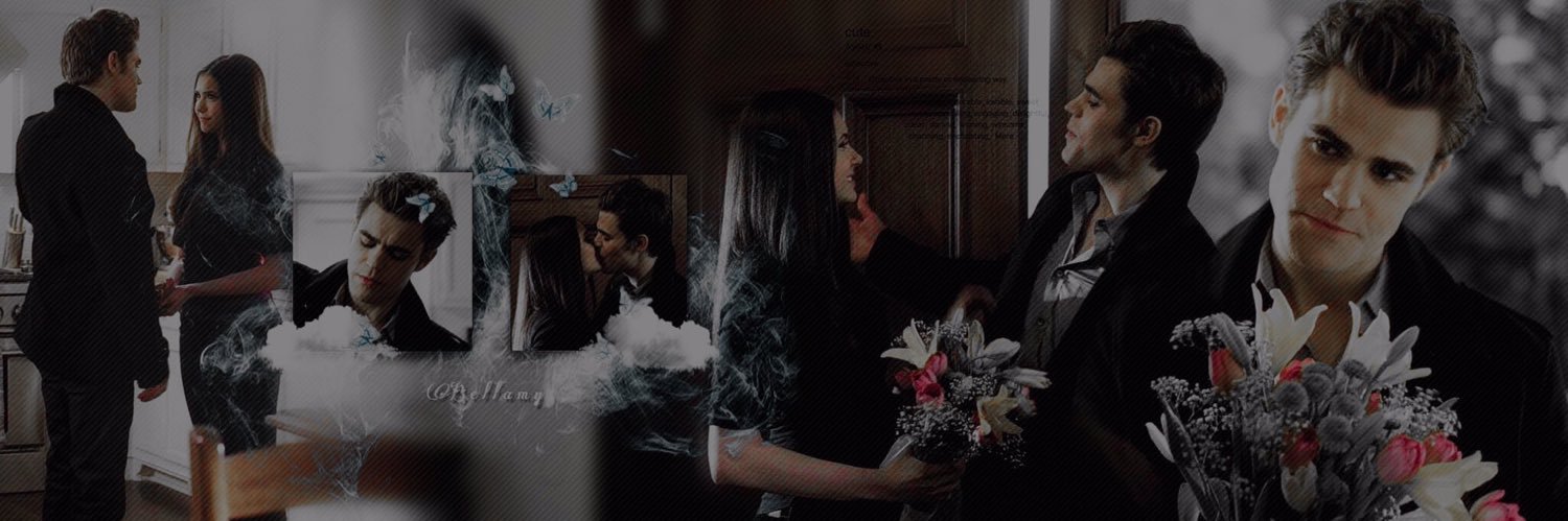 𝐒𝐭𝐞𝐟𝐚𝐧 𝐒𝐚𝐥𝐯𝐚𝐭𝐨𝐫𝐞. banner