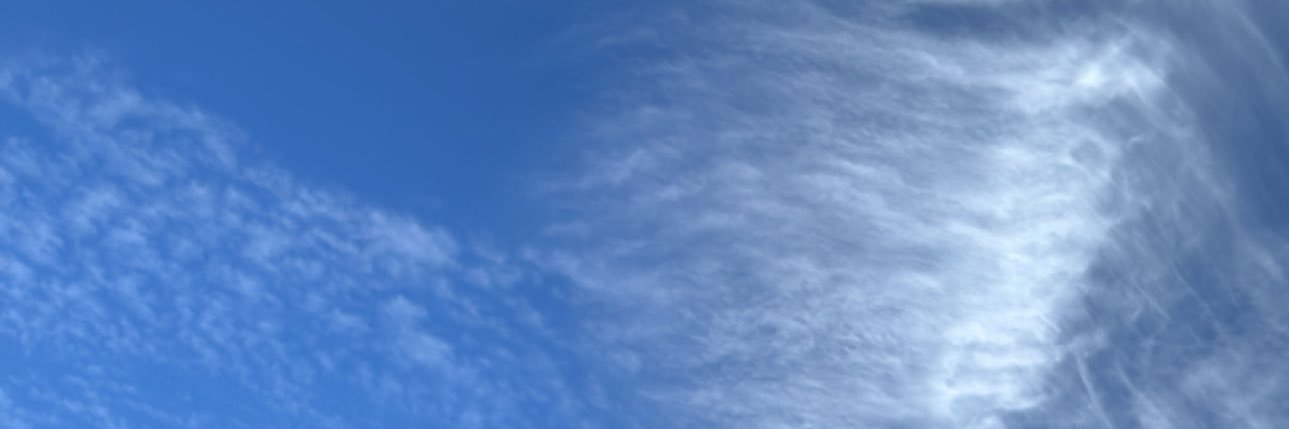 sflhomo's profile banner image