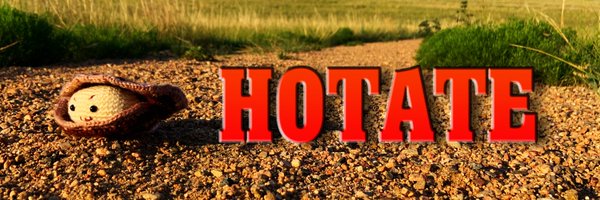 hotatinity Profile Banner