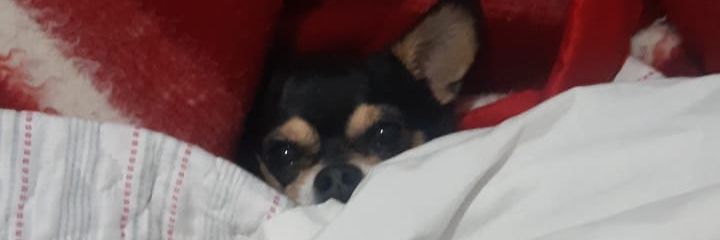 MatiPatito_'s profile banner image