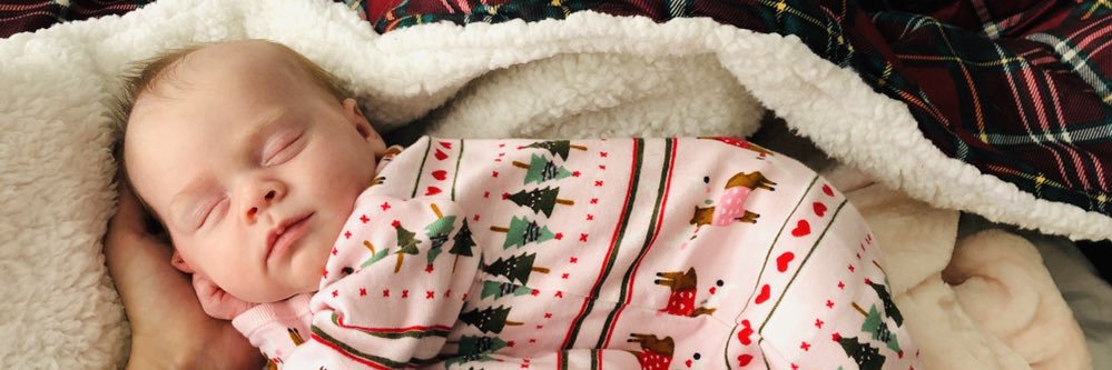 NicoleZeeks's profile banner image