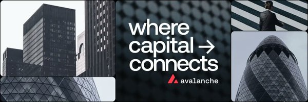 avalanche_esp Profile Banner