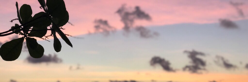 s_knt_1's profile banner image
