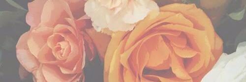 noviewulsar's profile banner image