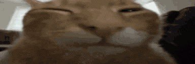 The Classy Alien banner