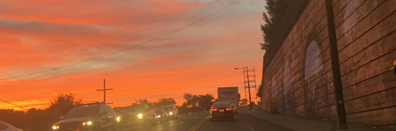Carleycowski's profile banner image