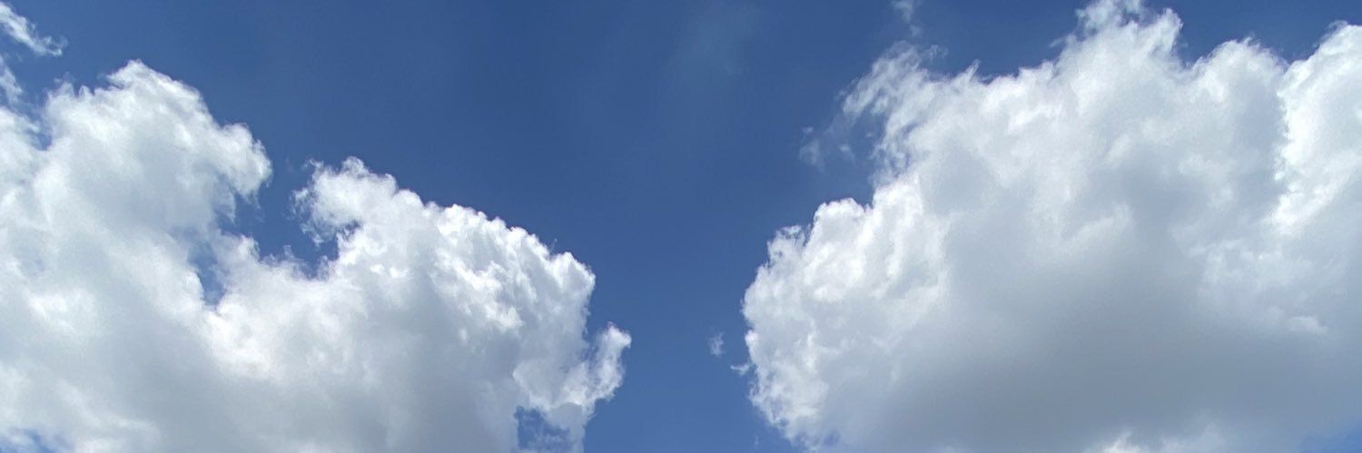 Danik banner