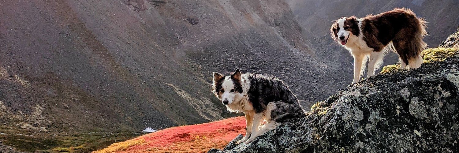 Ara T. Howard banner